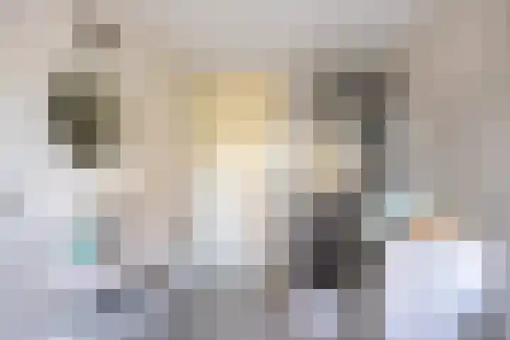 Parelmoervlinder 18 Sneek thumbnail 48