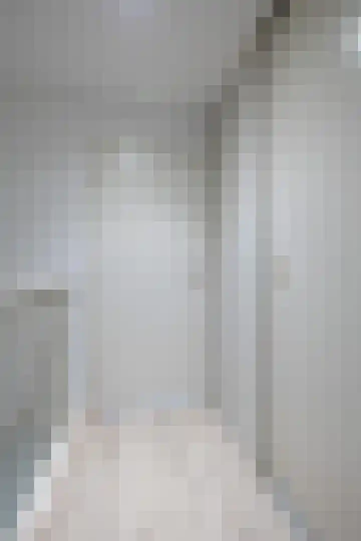 Parelmoervlinder 18 Sneek thumbnail 50