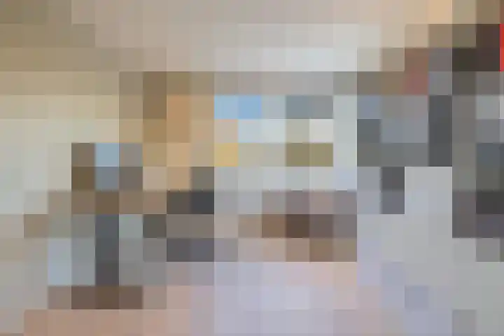 Parelmoervlinder 18 Sneek thumbnail 51