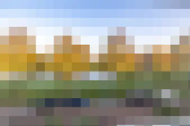 Parelmoervlinder 18 Sneek thumbnail 53