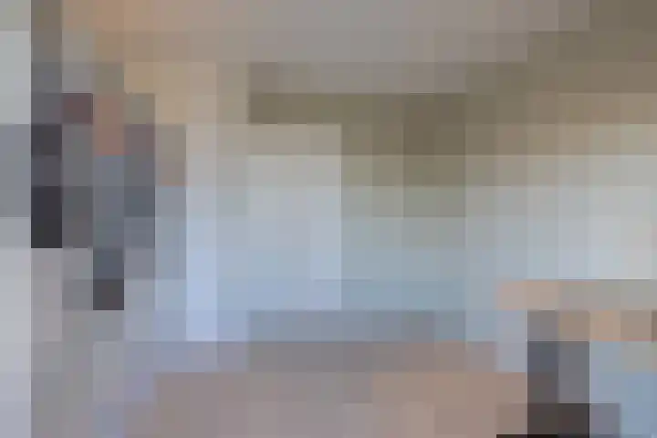 Parelmoervlinder 18 Sneek thumbnail 54