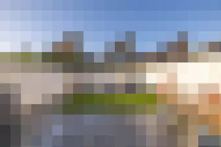 Parelmoervlinder 18 Sneek thumbnail 55