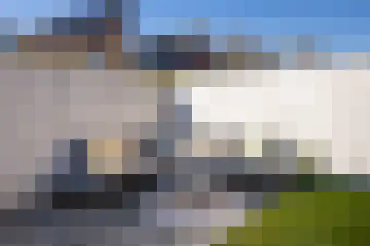 Parelmoervlinder 18 Sneek thumbnail 57