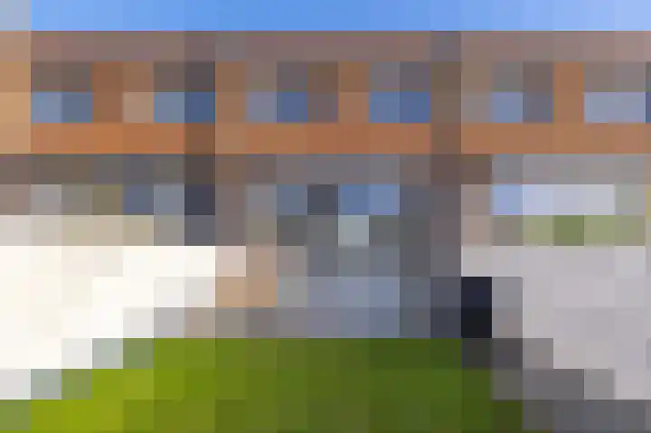 Parelmoervlinder 18 Sneek thumbnail 58