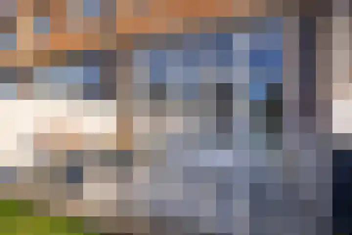 Parelmoervlinder 18 Sneek thumbnail 59