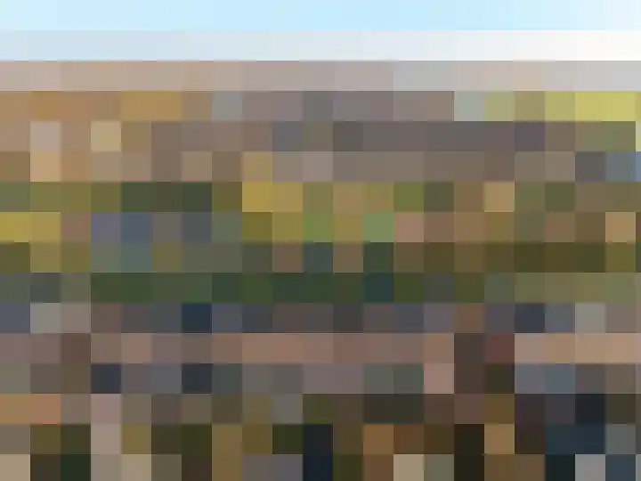 Parelmoervlinder 18 Sneek thumbnail 61
