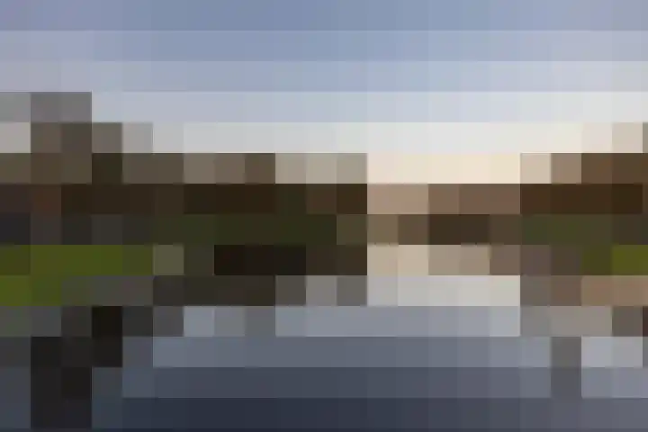 Parelmoervlinder 18 Sneek thumbnail 62