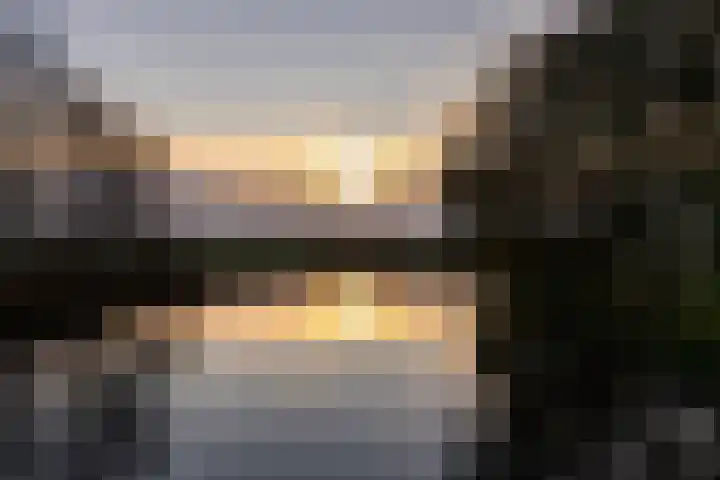 Parelmoervlinder 18 Sneek thumbnail 63