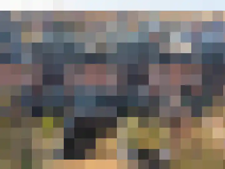 Parelmoervlinder 18 Sneek thumbnail 7