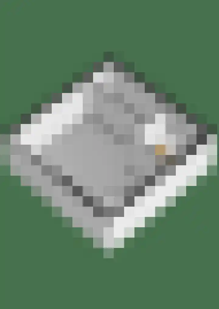 Parelmoervlinder 18 Sneek thumbnail 71