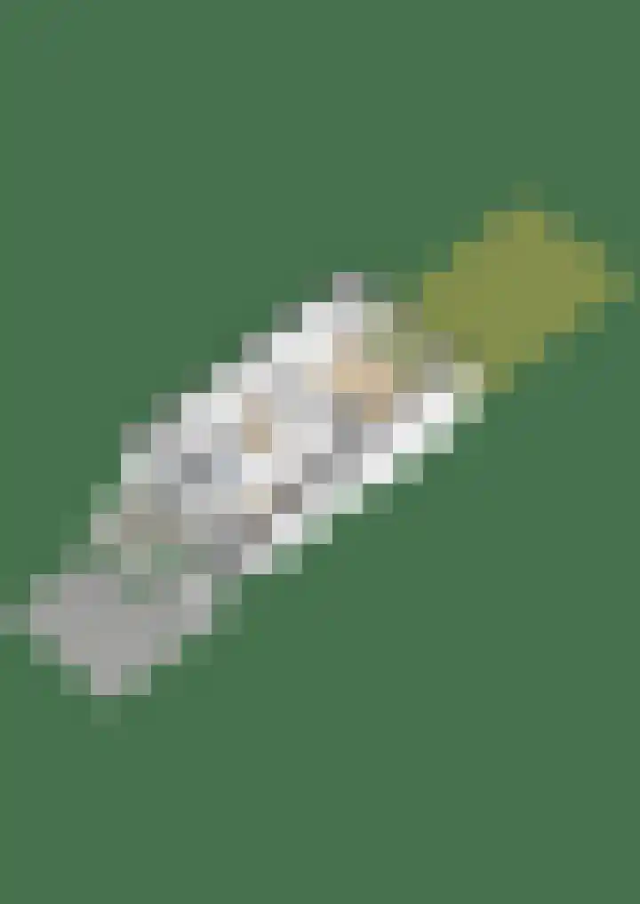 Parelmoervlinder 18 Sneek thumbnail 73