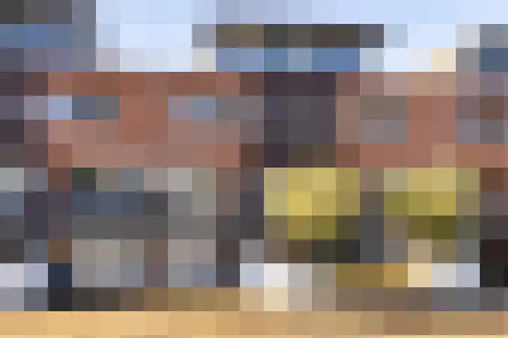 Parelmoervlinder 18 Sneek thumbnail 8