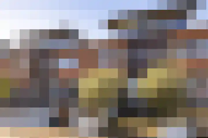 Parelmoervlinder 18 Sneek thumbnail 9