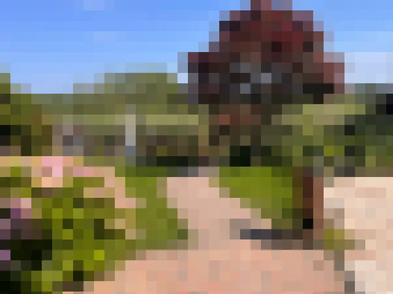 Parelmoervlinder 2 Diemen thumbnail 17