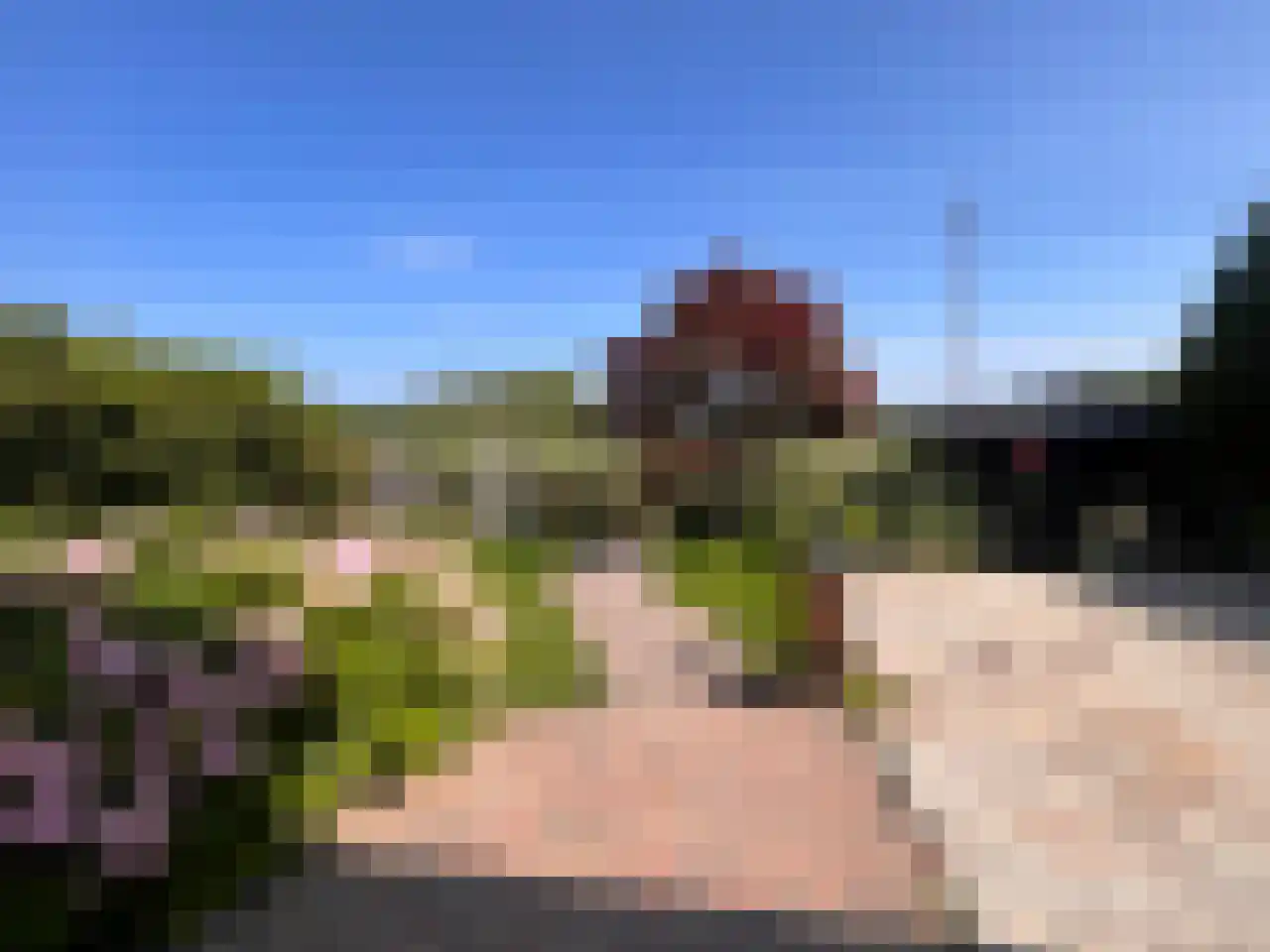 Parelmoervlinder 2 Diemen thumbnail 18