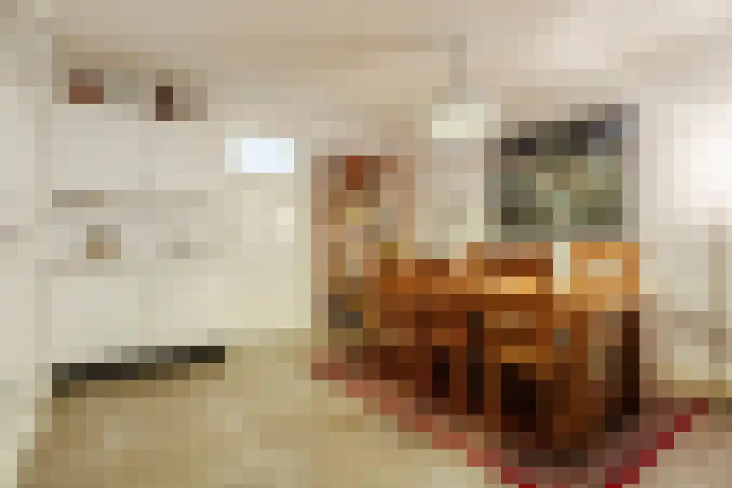 Parelmoervlinder 20 Oosterhout thumbnail 28