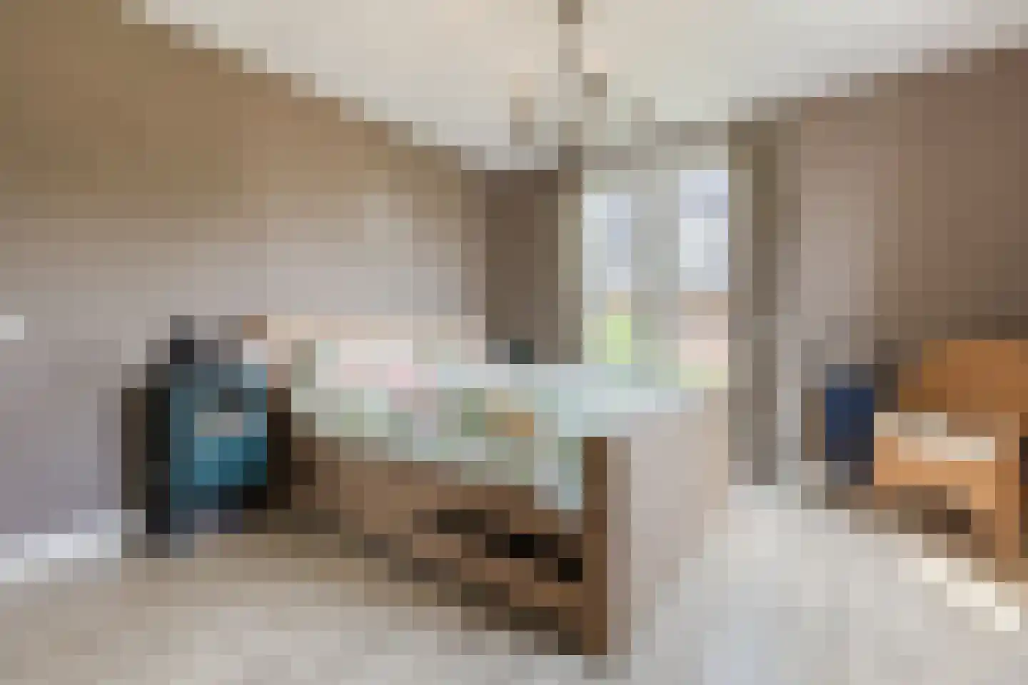 Parelmoervlinder 20 Oosterhout thumbnail 37
