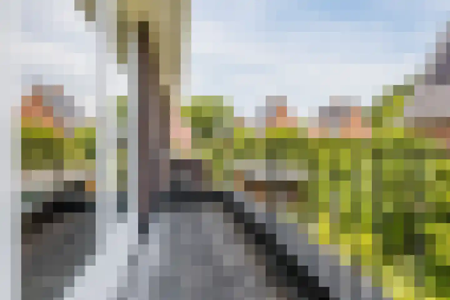 Parelmoervlinder 20 Oosterhout thumbnail 41