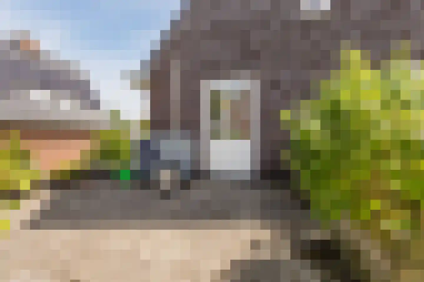 Parelmoervlinder 20 Oosterhout thumbnail 42