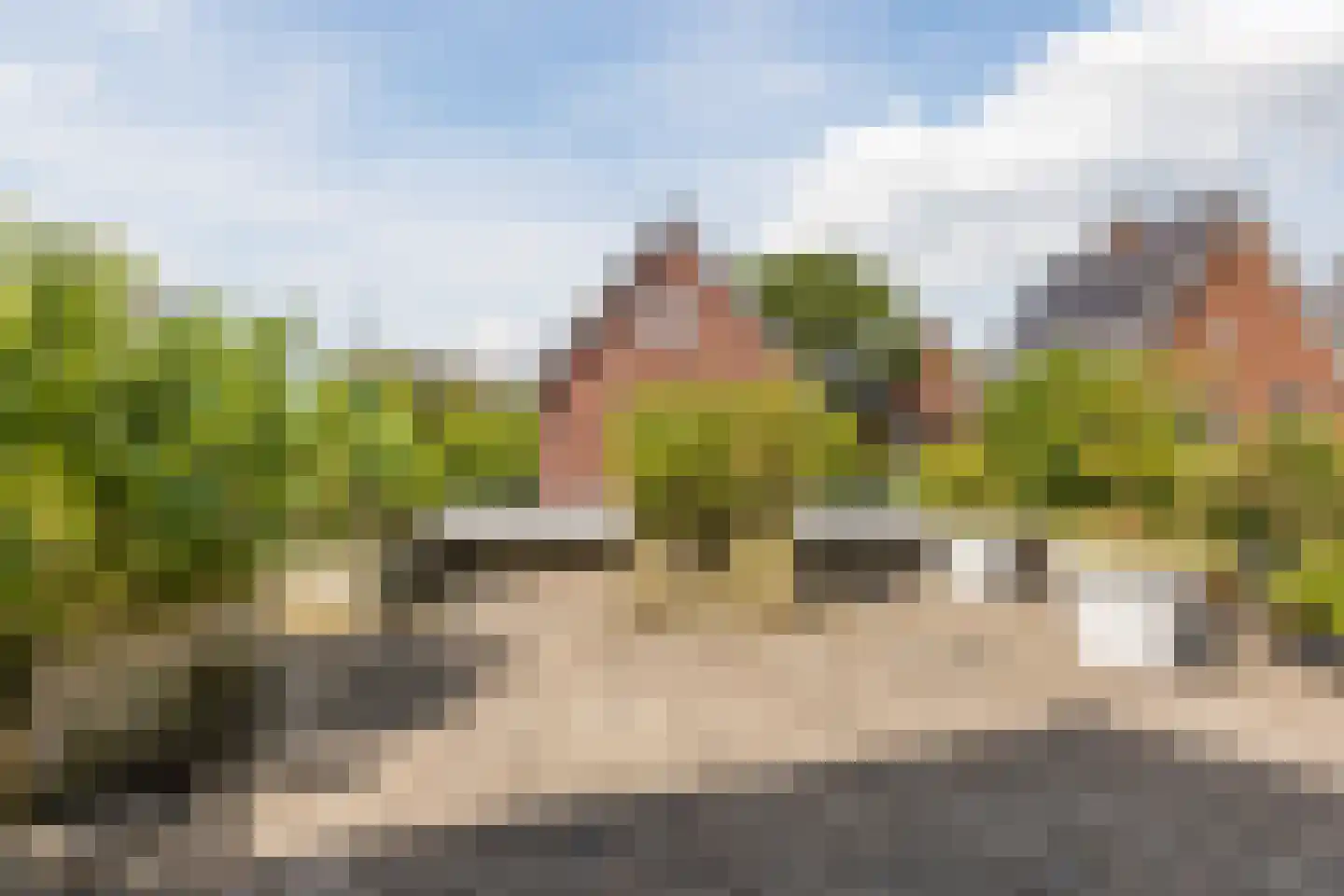 Parelmoervlinder 20 Oosterhout thumbnail 43