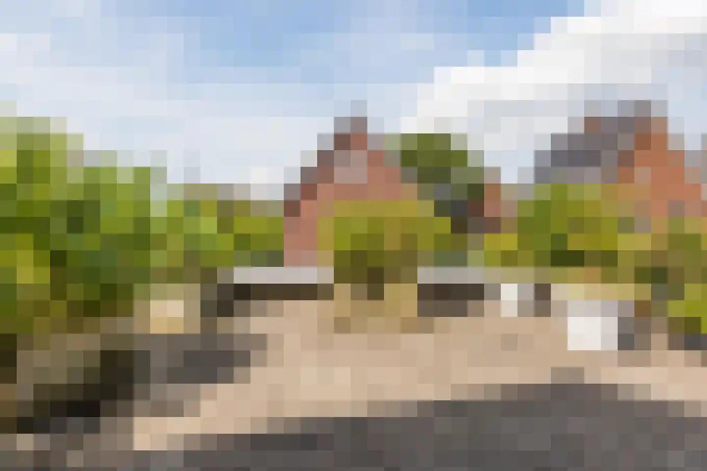 Parelmoervlinder 20 Oosterhout thumbnail 45