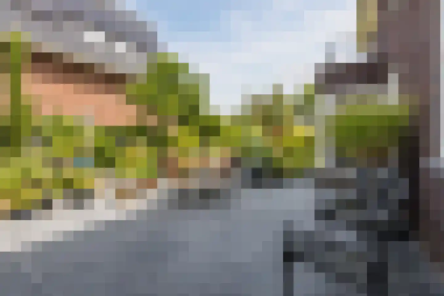 Parelmoervlinder 20 Oosterhout thumbnail 66