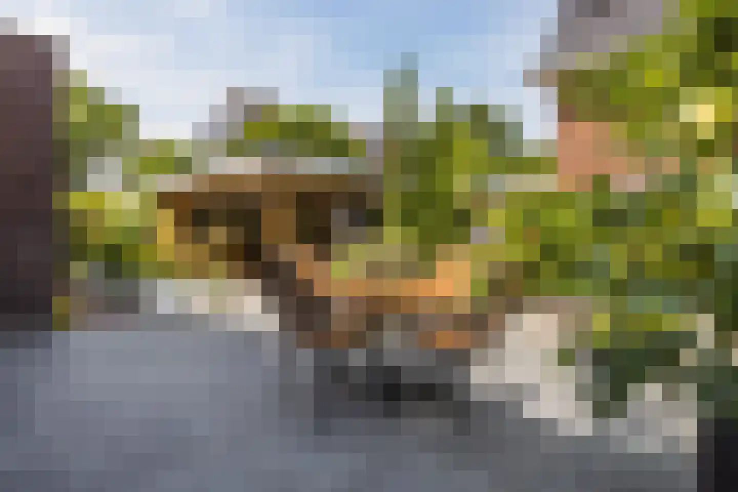 Parelmoervlinder 20 Oosterhout thumbnail 67