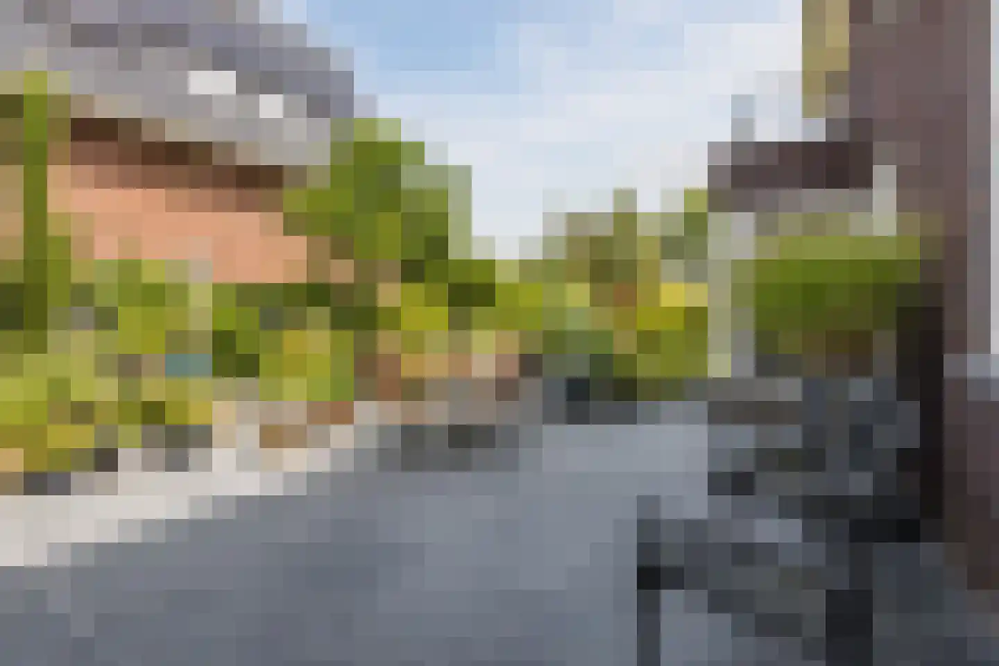 Parelmoervlinder 20 Oosterhout thumbnail 68