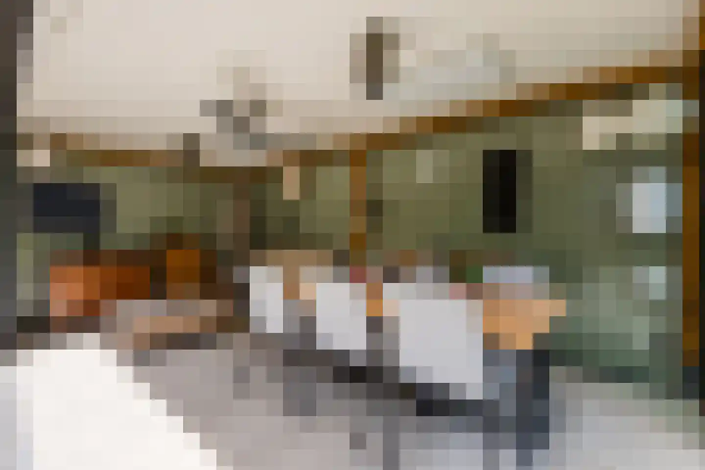Parelmoervlinder 20 Oosterhout thumbnail 68
