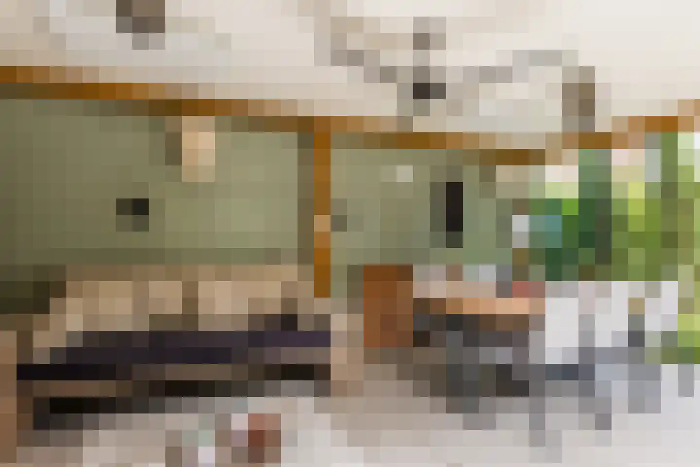 Parelmoervlinder 20 Oosterhout thumbnail 69