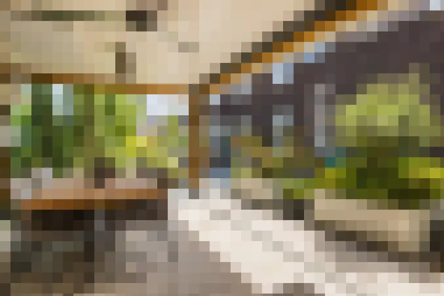 Parelmoervlinder 20 Oosterhout thumbnail 71