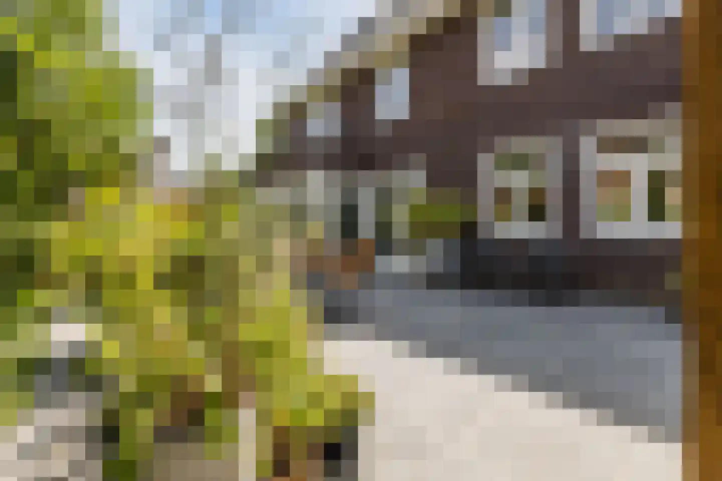 Parelmoervlinder 20 Oosterhout thumbnail 72