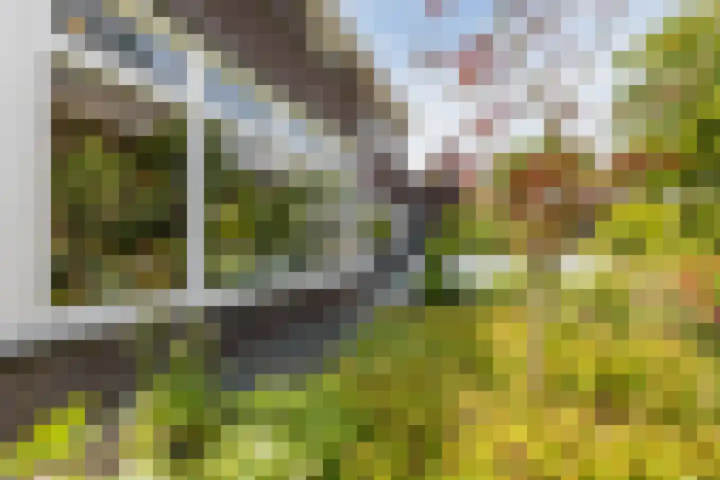 Parelmoervlinder 20 Oosterhout thumbnail 74