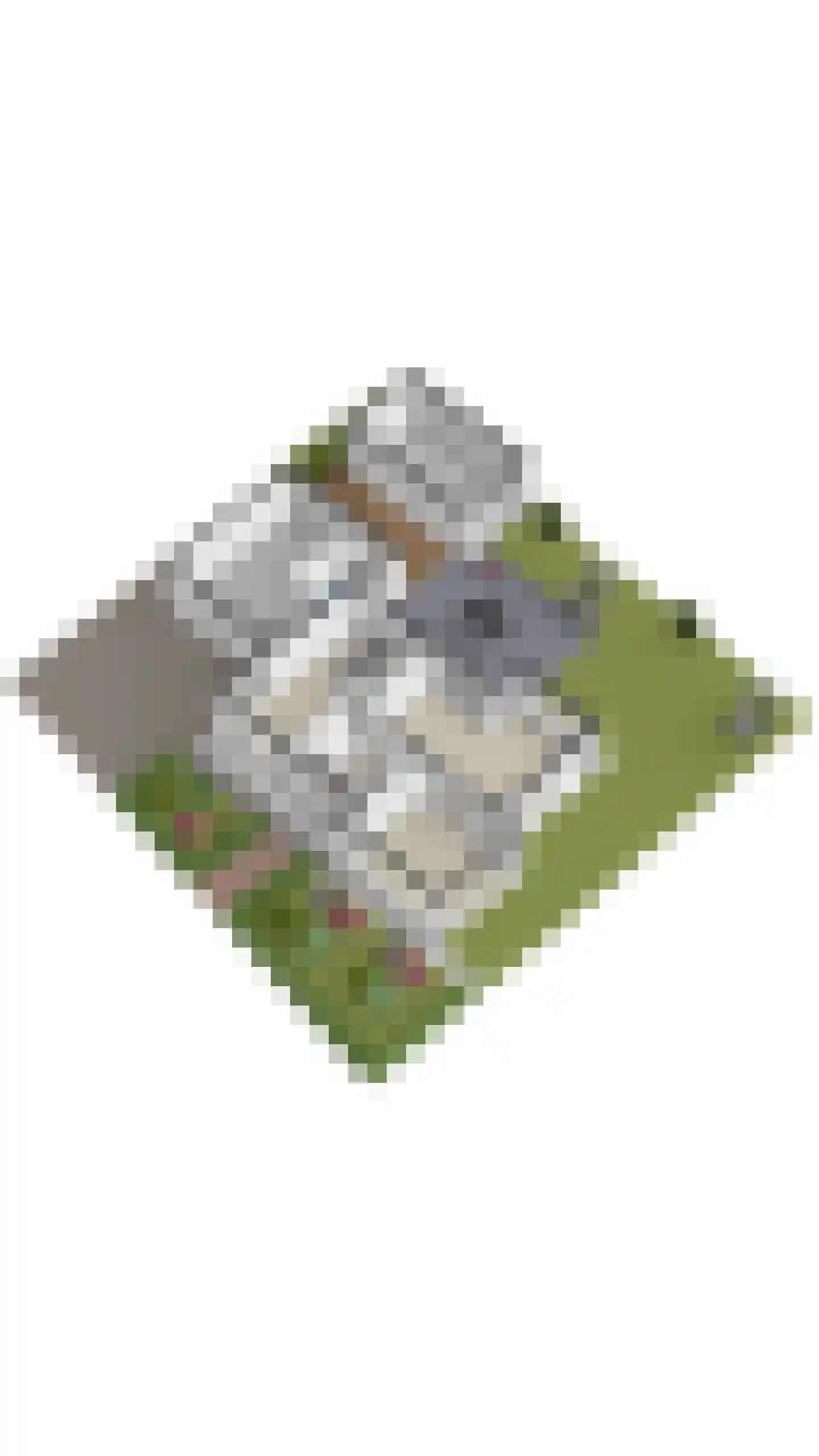 Parelmoervlinder 20 Oosterhout thumbnail 86