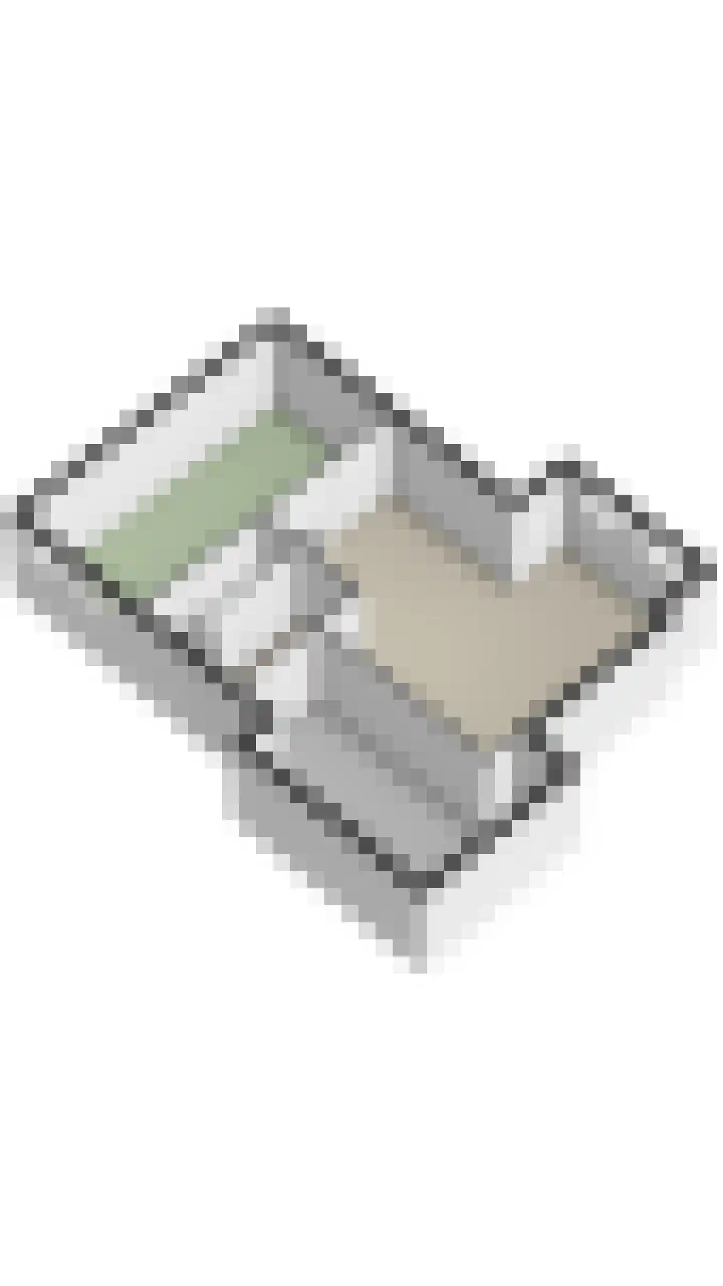 Parelmoervlinder 20 Oosterhout thumbnail 87