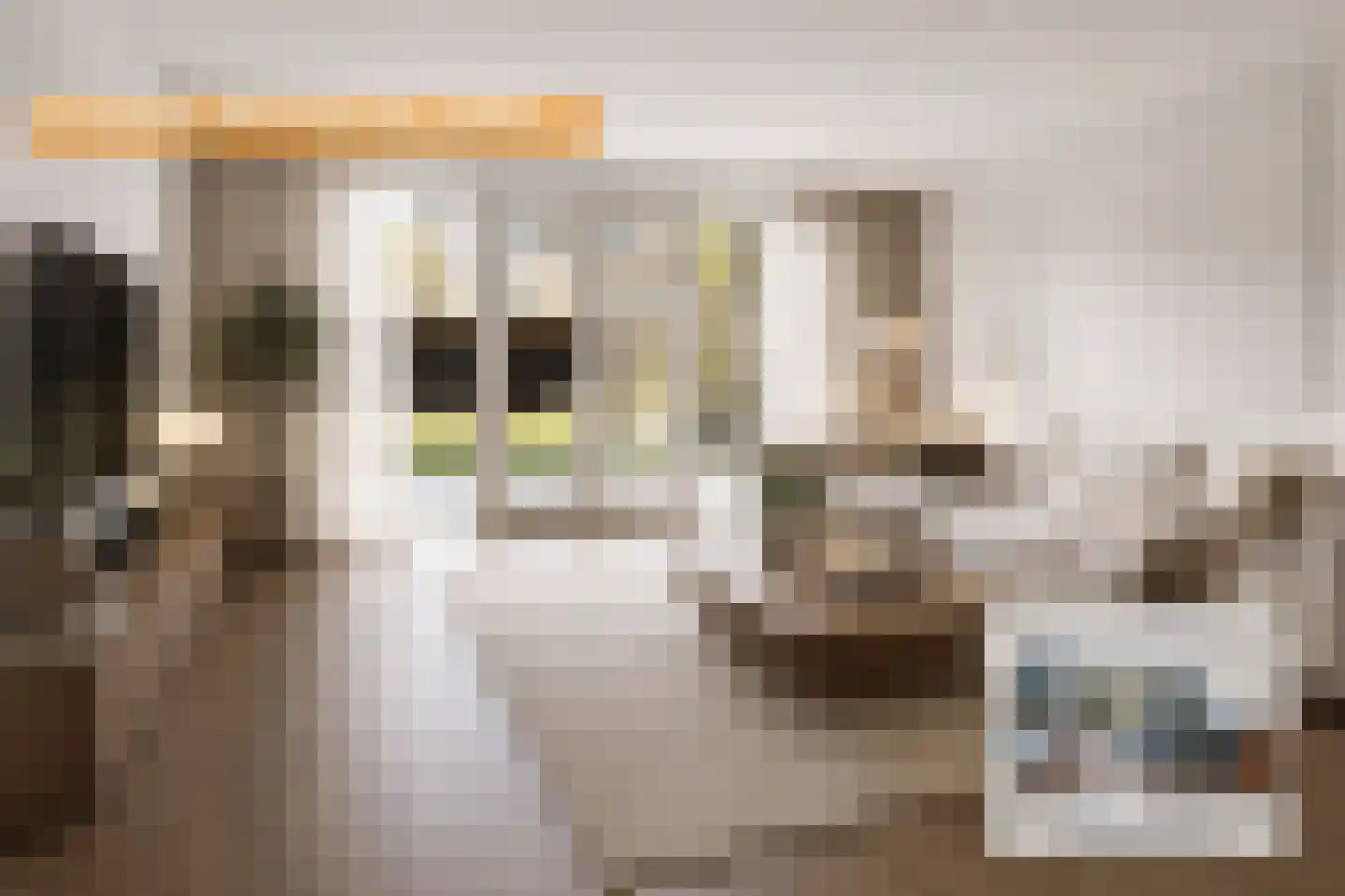 Parelmoervlinder 23 Enschede thumbnail 16