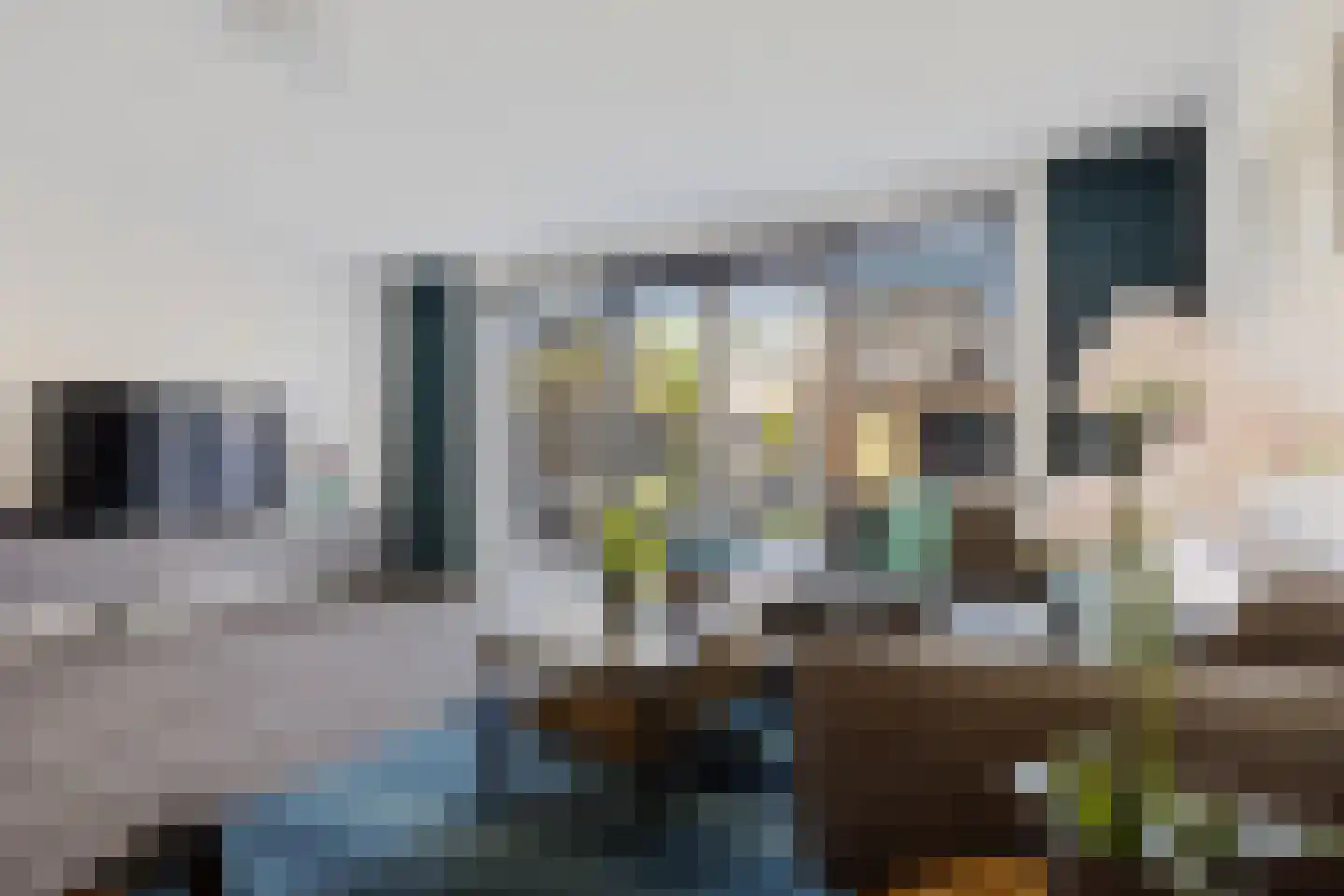 Parelmoervlinder 23 Enschede thumbnail 21