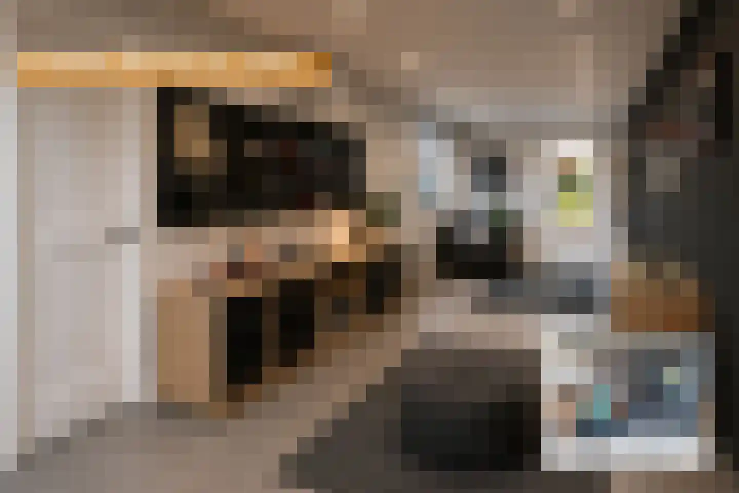 Parelmoervlinder 23 Enschede thumbnail 22