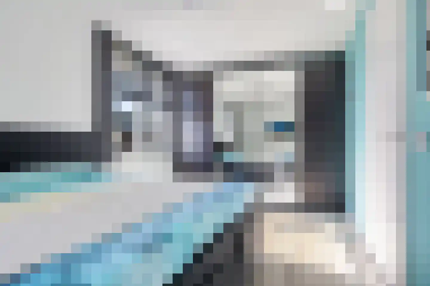 Parelmoervlinder 23 Enschede thumbnail 29