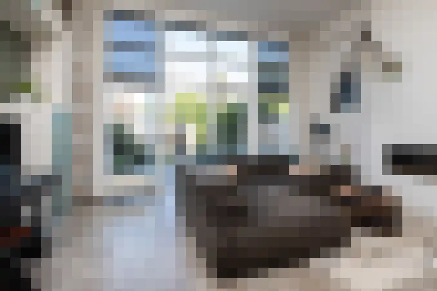 Parelmoervlinder 3 Sneek thumbnail 10