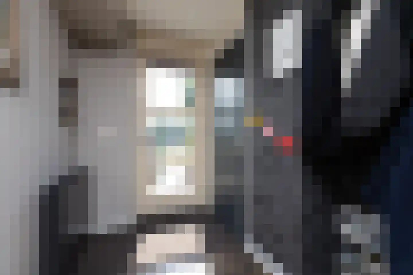 Parelmoervlinder 3 Sneek thumbnail 12