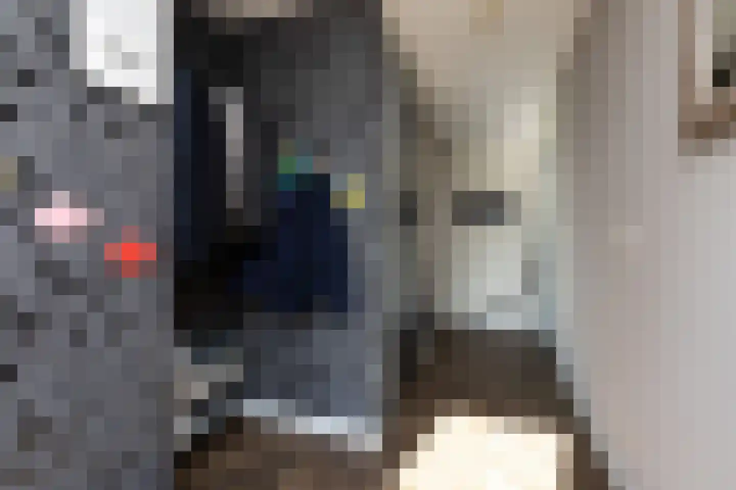 Parelmoervlinder 3 Sneek thumbnail 13