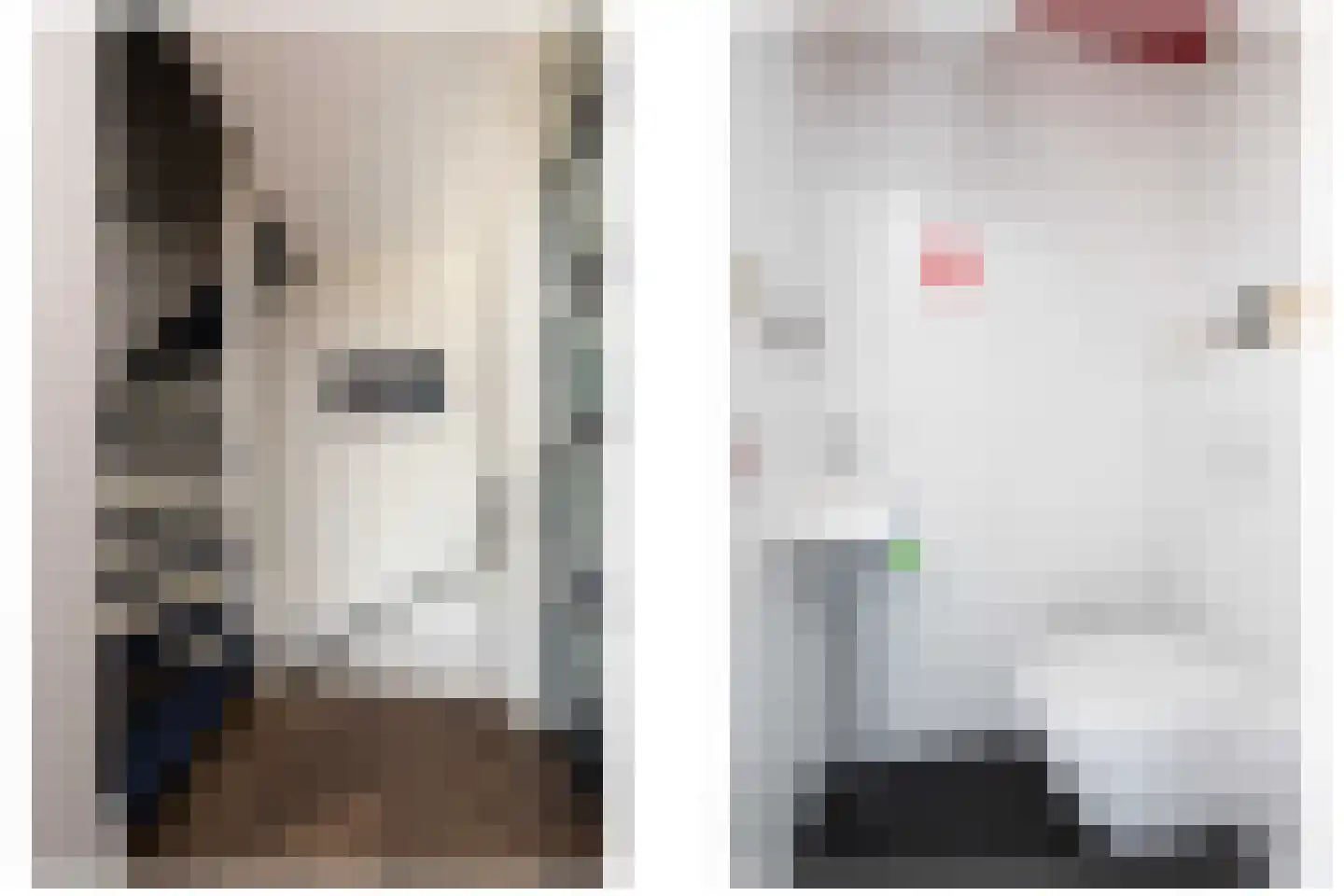 Parelmoervlinder 3 Sneek thumbnail 14