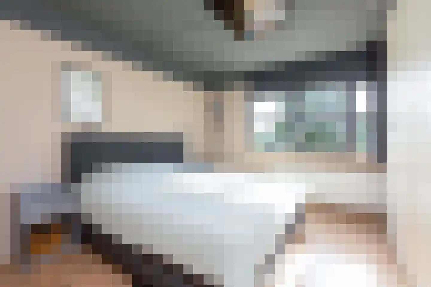 Parelmoervlinder 3 Sneek thumbnail 15