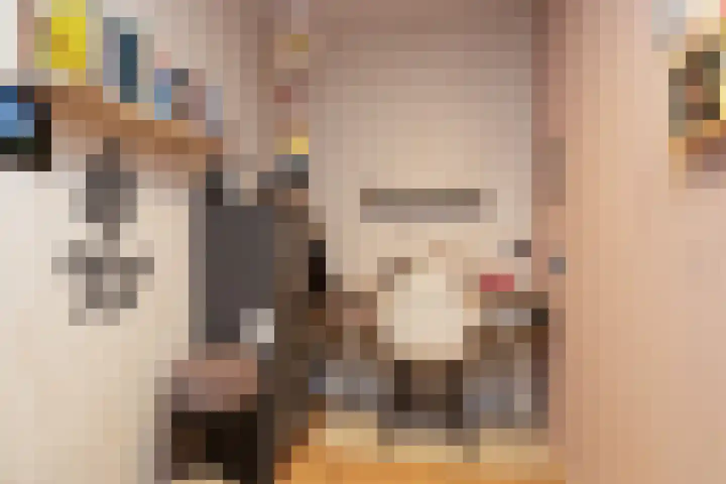 Parelmoervlinder 3 Sneek thumbnail 17