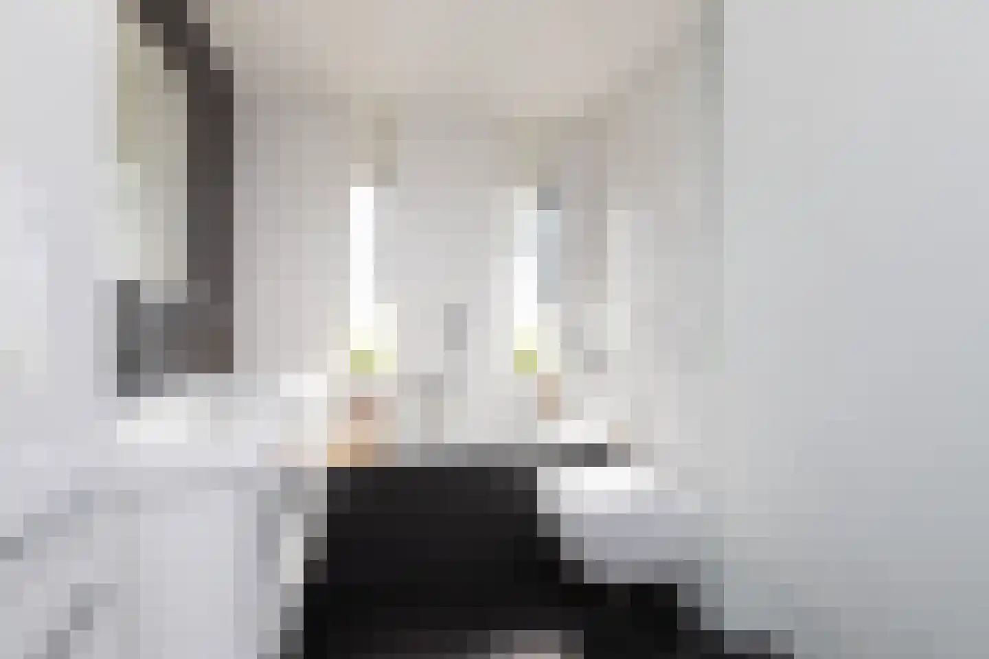 Parelmoervlinder 3 Sneek thumbnail 18
