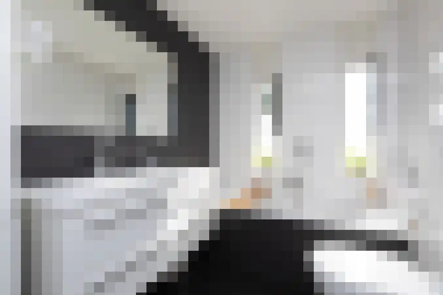 Parelmoervlinder 3 Sneek thumbnail 19