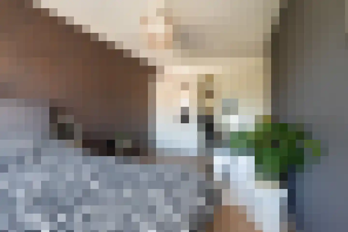 Parelmoervlinder 3 Sneek thumbnail 22