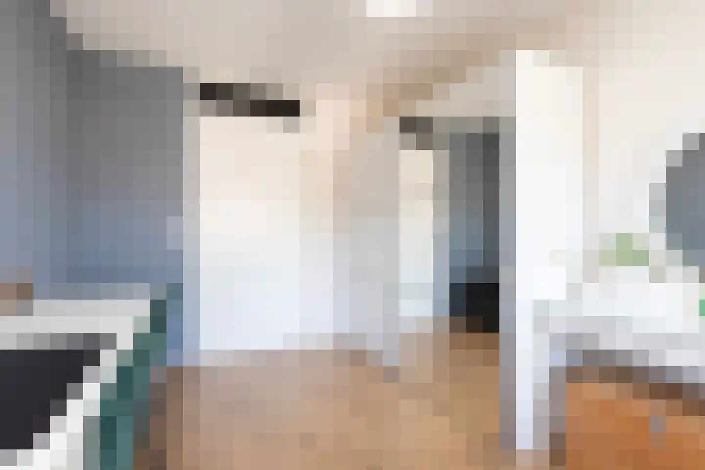 Parelmoervlinder 3 Sneek thumbnail 24