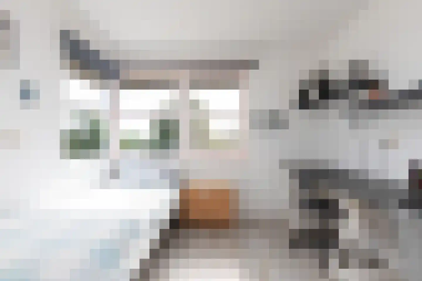 Parelmoervlinder 3 Sneek thumbnail 30